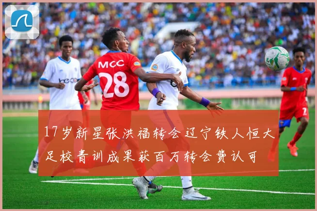 17岁新星张洪福转会辽宁铁人恒大足校青训成果获百万转会费认可