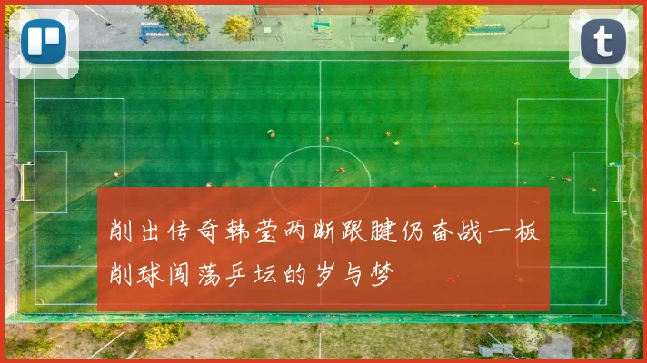 削出传奇韩莹两断跟腱仍奋战一板削球闯荡乒坛的岁与梦